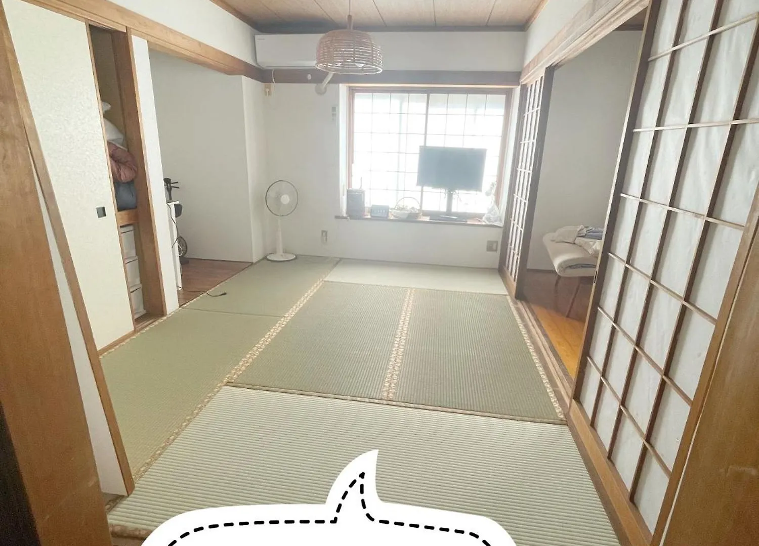 Tokyo Downtown Tatami House: Multinational TV & BBQ Corner Hotel Japan